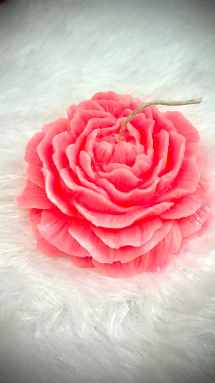peony candle