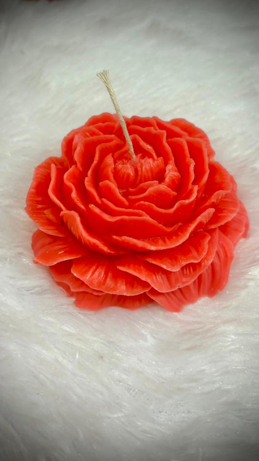 peony candle